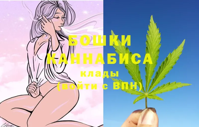 Бошки марихуана SATIVA & INDICA  Прохладный 